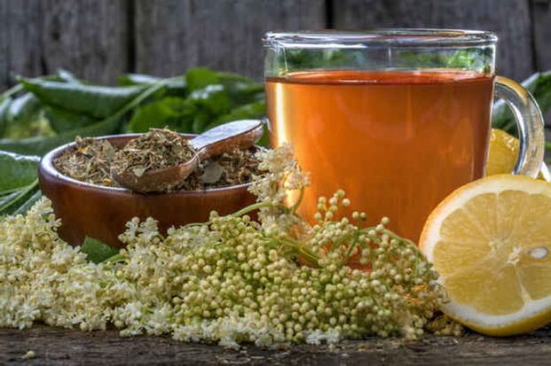 Τσάι από βότανα για την πρόληψη των παρασίτων