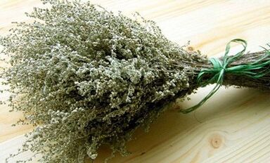 Wormwood ως μέσο για την καταπολέμηση των παρασίτων