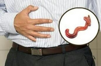 τις επιπτώσεις των παρασίτων στον ανθρώπινο οργανισμό