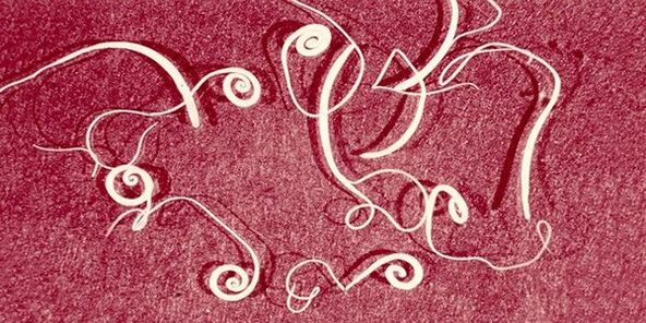 Pinworms από το ανθρώπινο σώμα