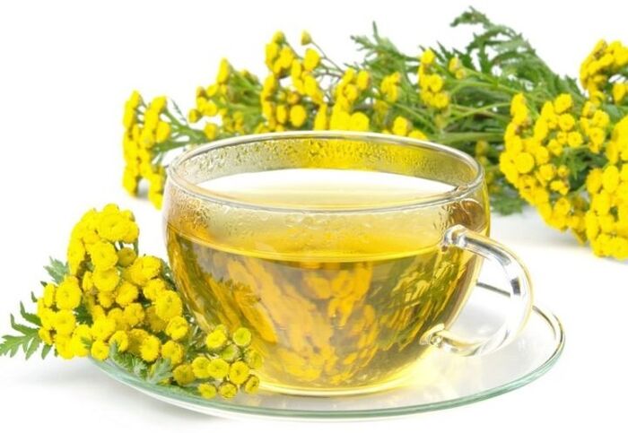 Αφέψημα tansy κατά των παρασίτων στον οργανισμό